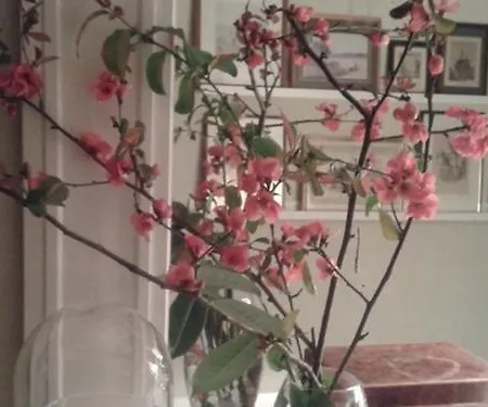 Pensjonat Maison D'eclaibes