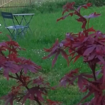 Maison D'eclaibes 3*