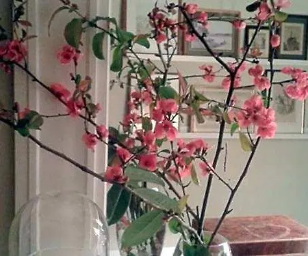 Pensión Maison D'eclaibes Eclaibes