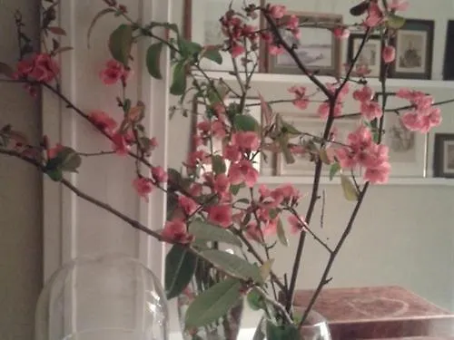 بيت ضيافة Maison D'eclaibes