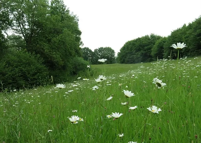 Maison D'eclaibes Eclaibes
