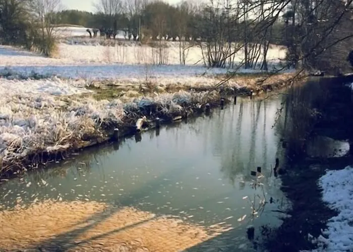 Maison D'eclaibes 3* Eclaibes