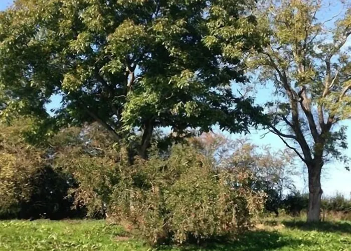 Maison D'eclaibes Eclaibes