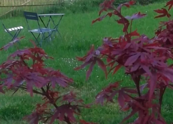 Maison D'eclaibes 3*